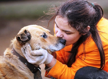 Новгородские зоозащитники придумали «Волонтерские субботы», которые помогают подготовить животных к новой семье